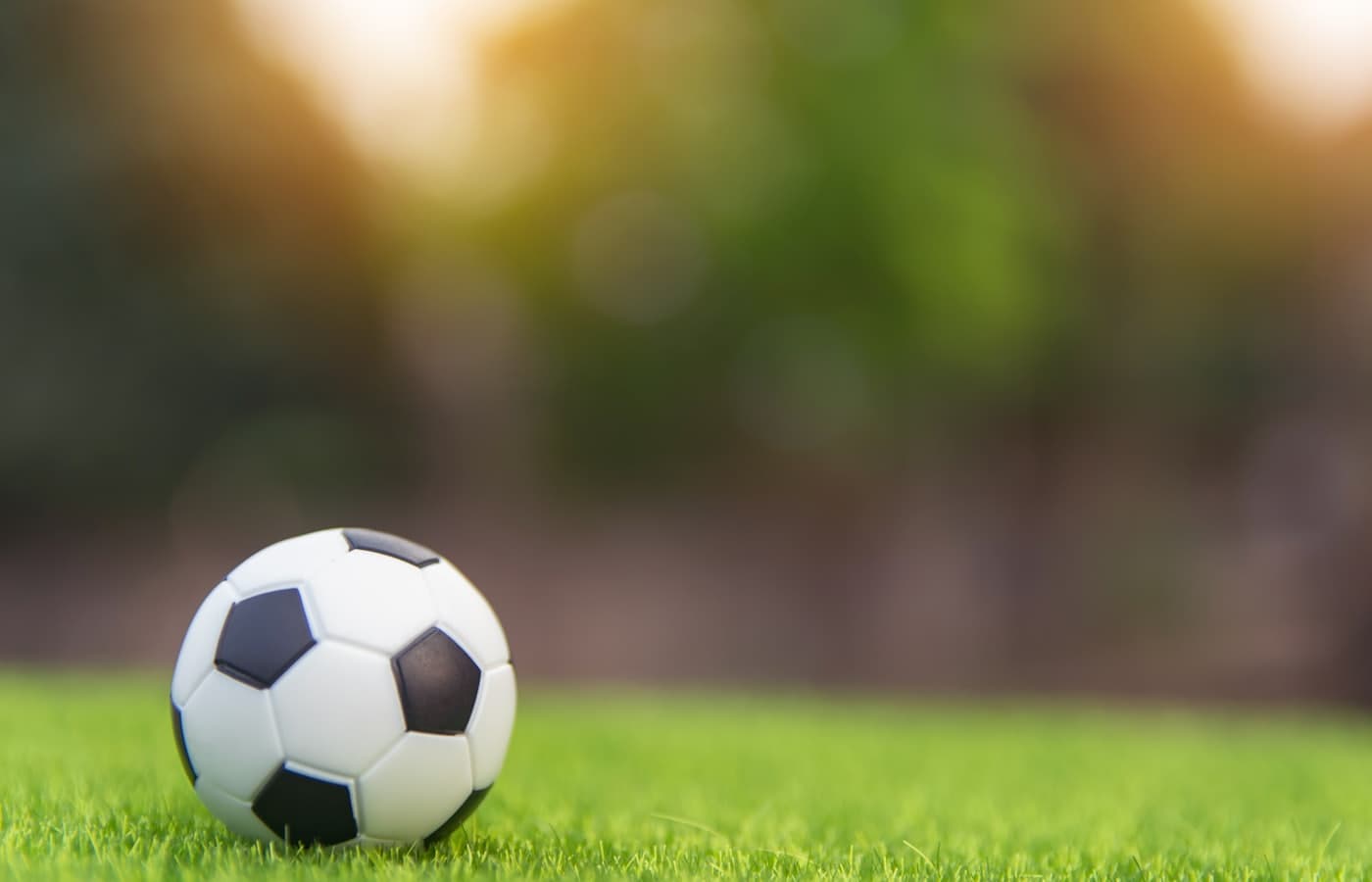 Football on the grass before a match