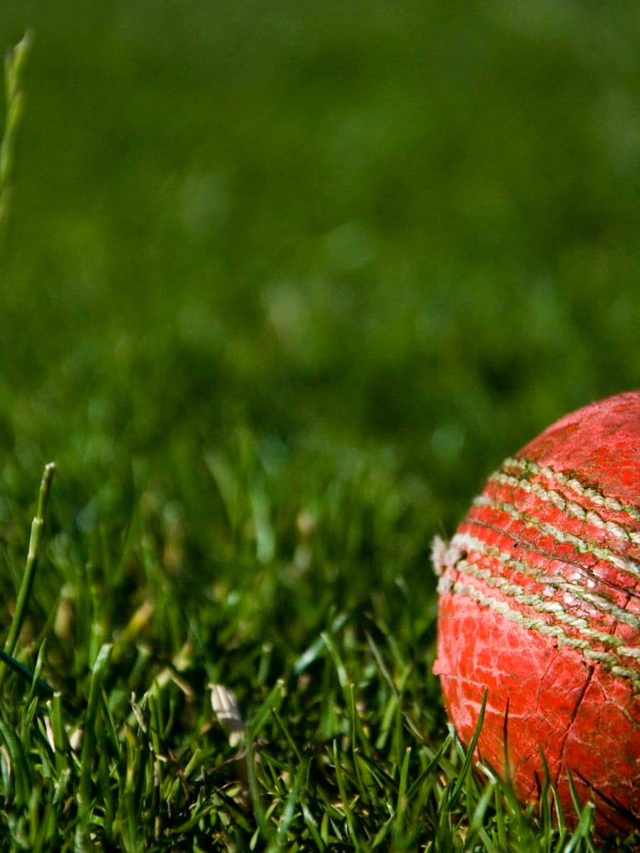 Cricket ball resting on cut grass