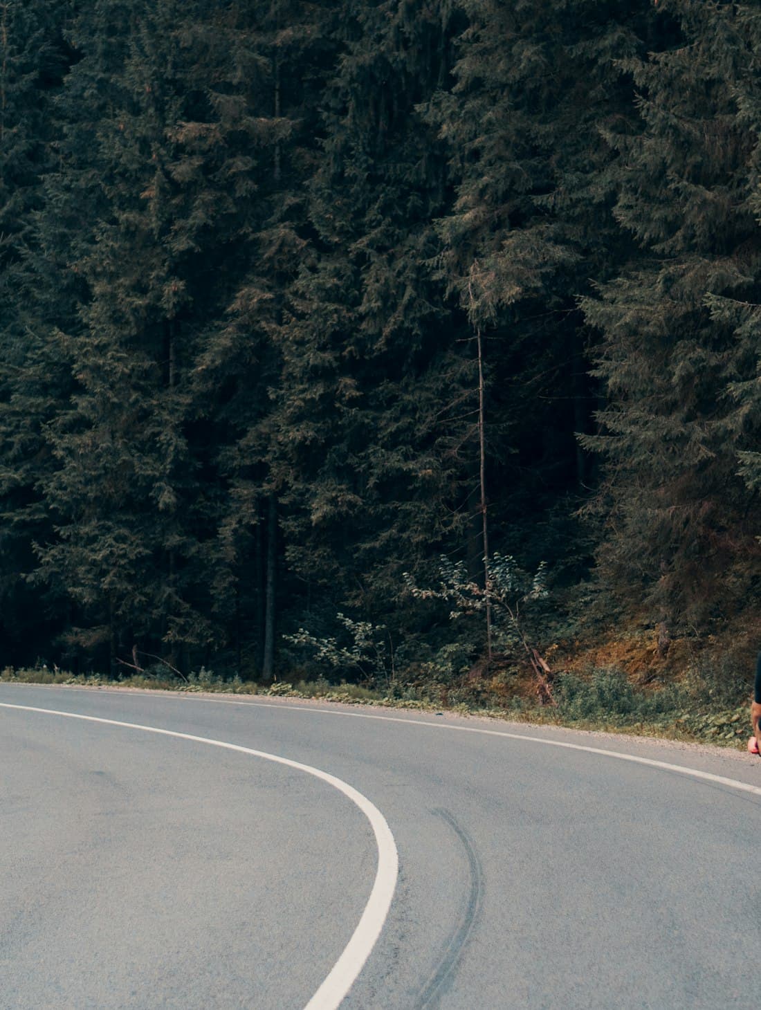A rider descending a forest road